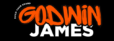 logo Digital Marketing Strategist in Thrissur